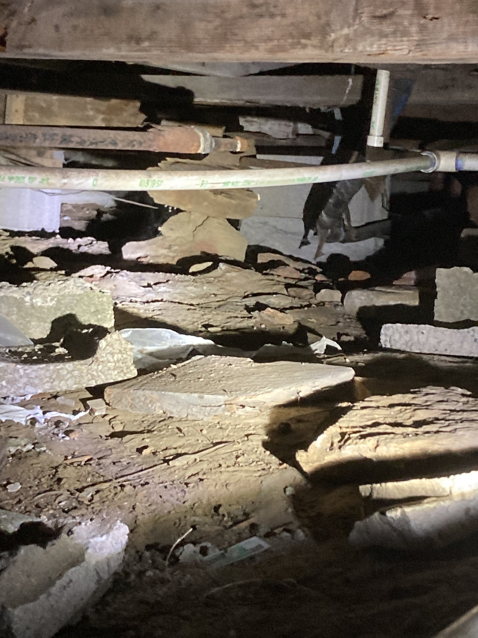 PIERMAN Foundation Repair Services Oklahoma - cover photo