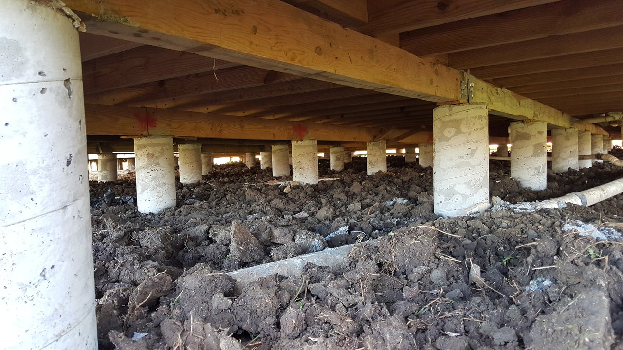 Armadillo Foundation Repair work photo