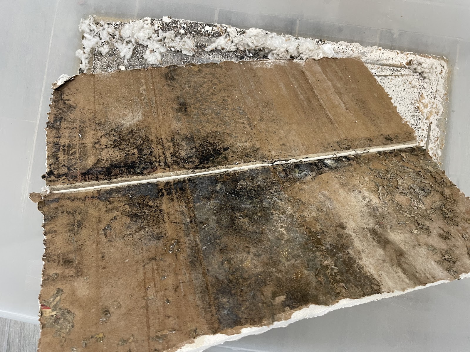 Mold Environmental Solution Inc work photo