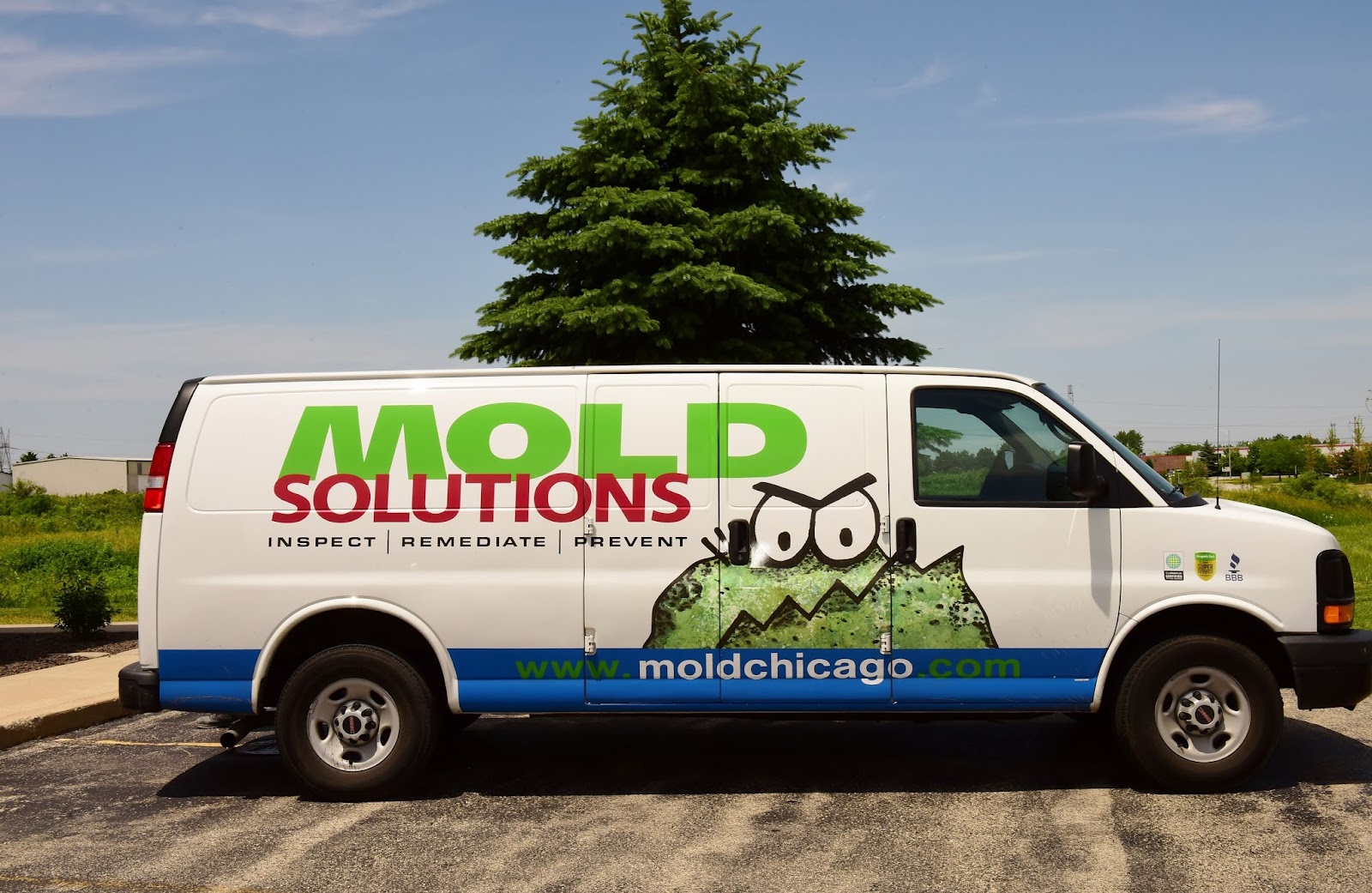 Mold Solutions work photo