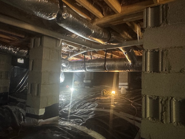 Claro - Complete Mold Remediation - Nashville cover photo