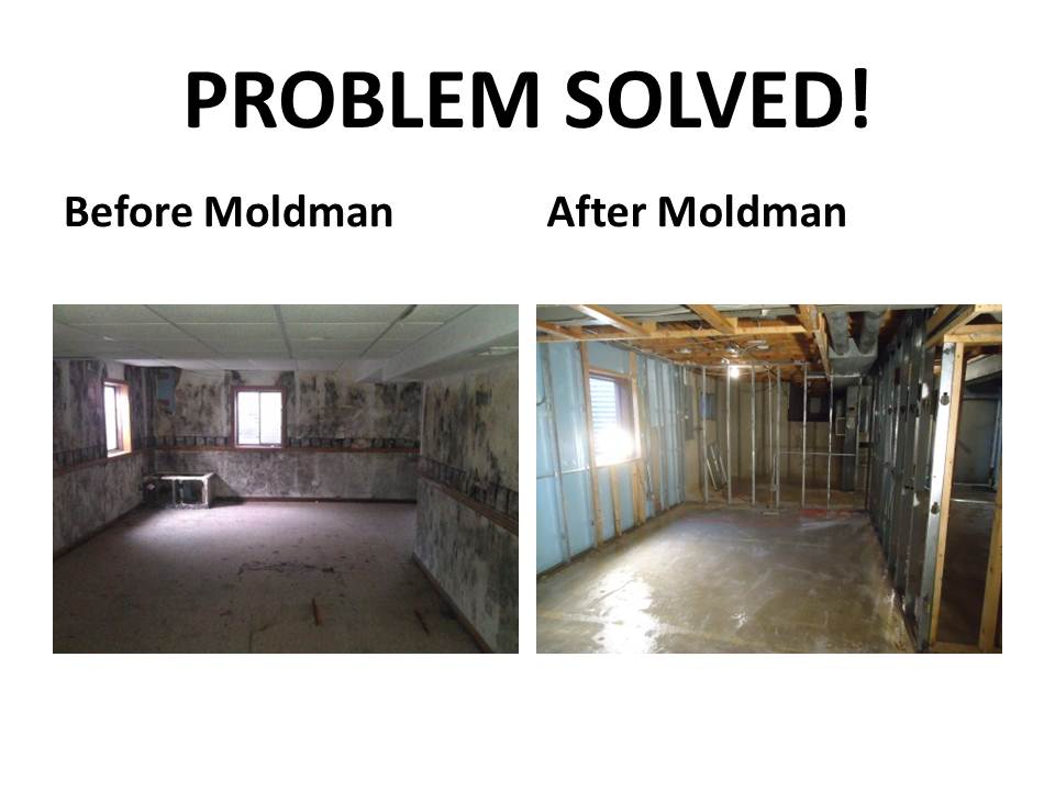 Moldman St. Louis cover photo