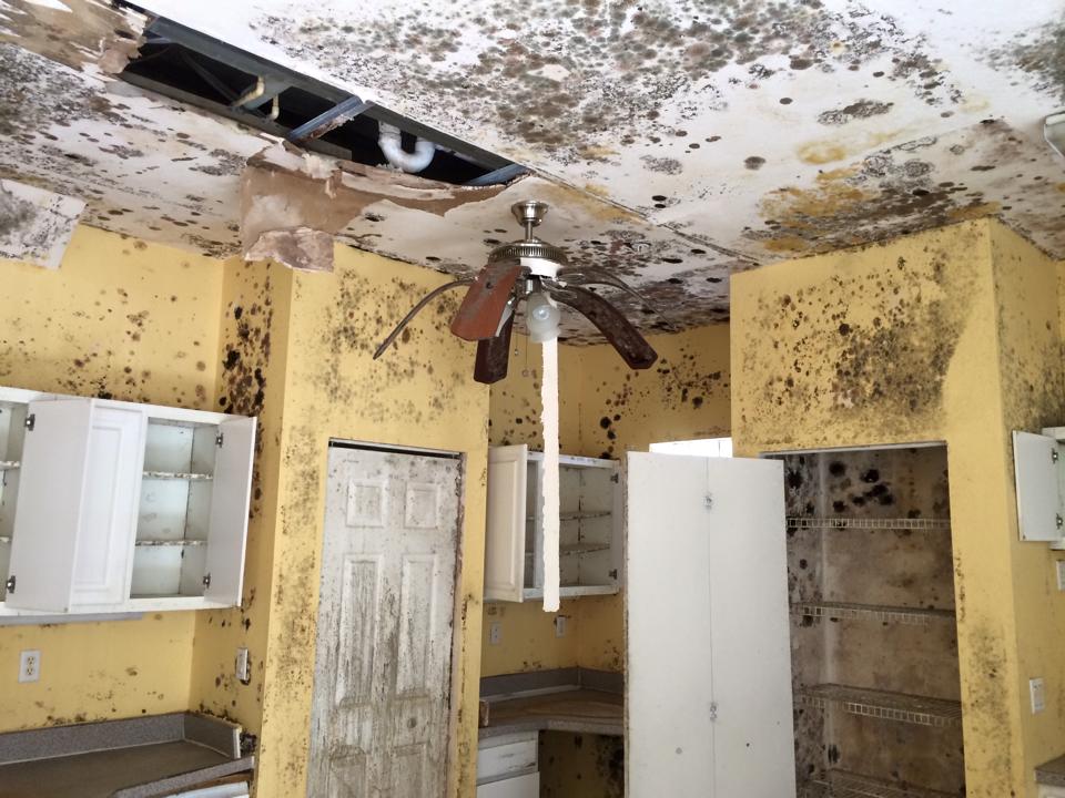Air & Surface Disinfection work photo