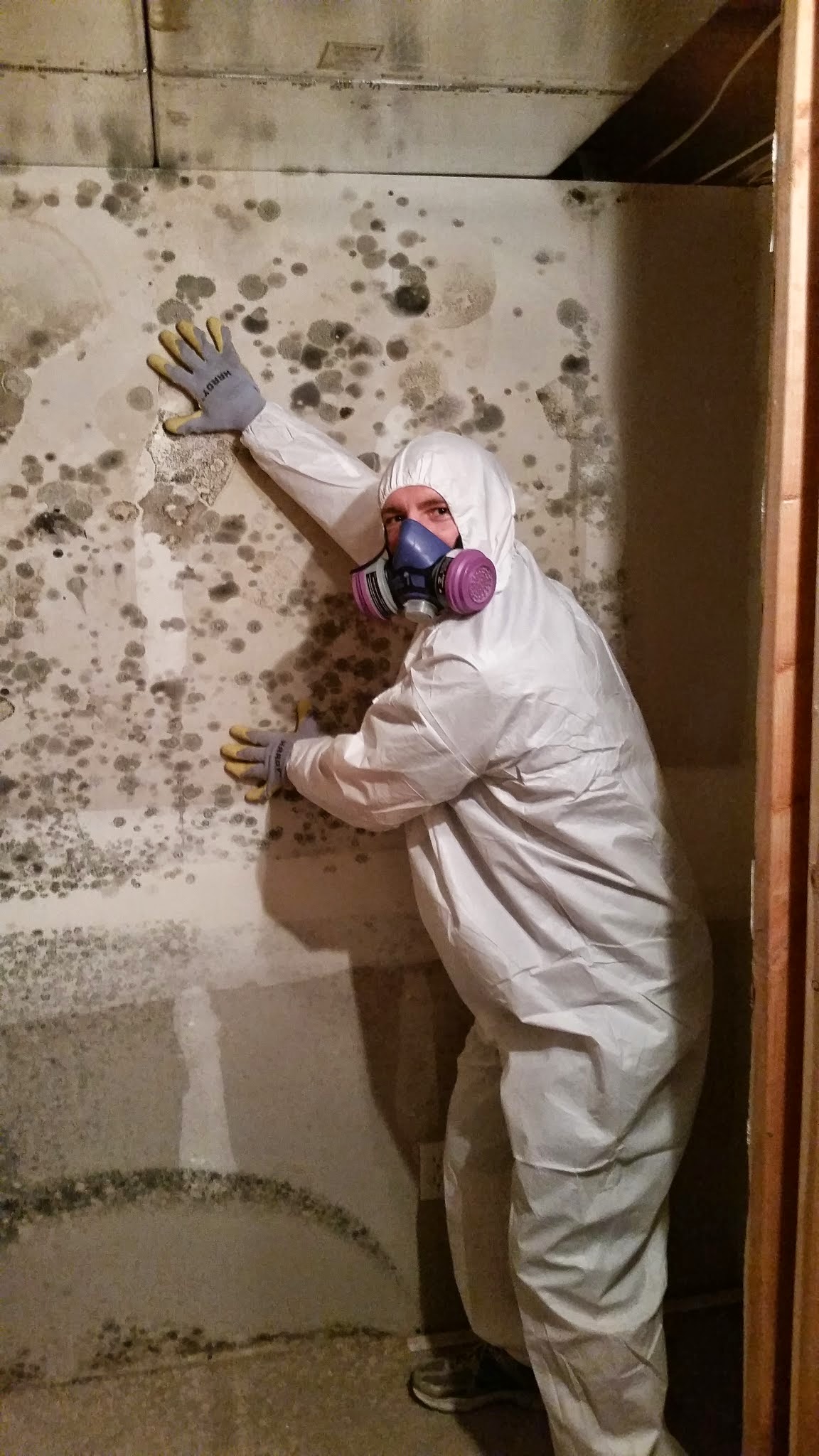 Anchor Water Damage & Restoration cover photo