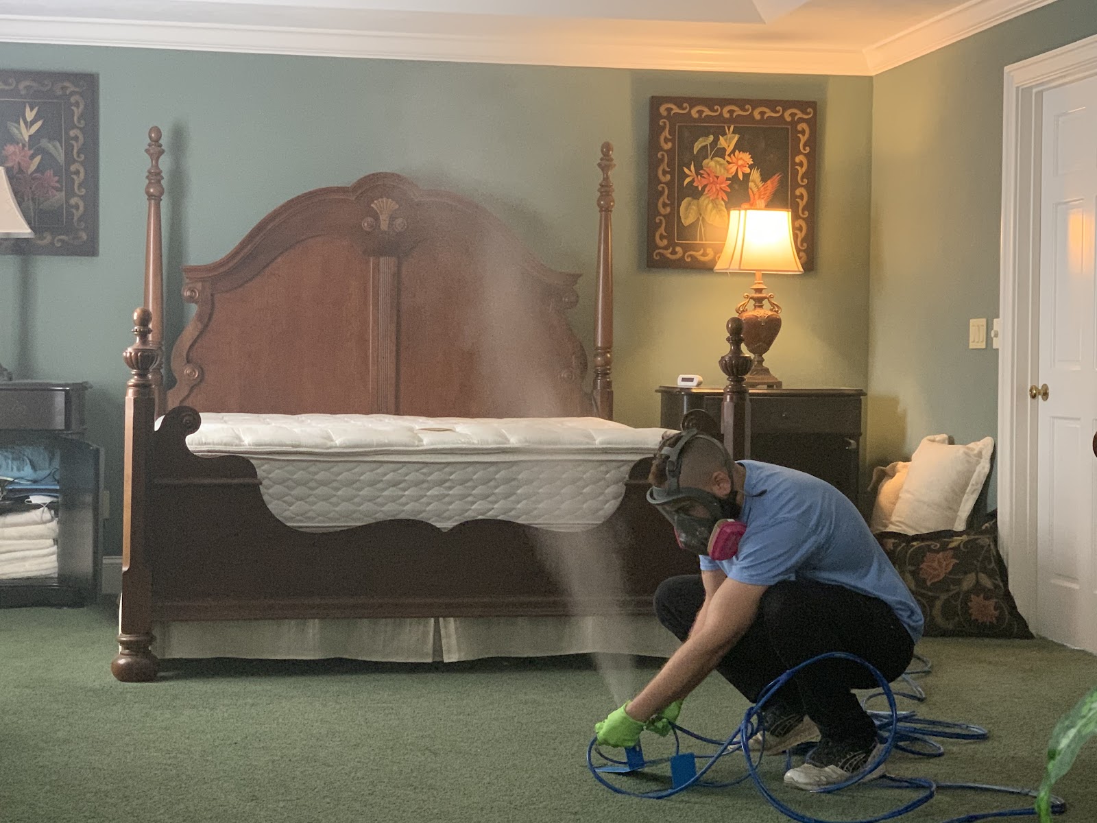 Pure Maintenance Mold Remediation - Jacksonville Beach work photo