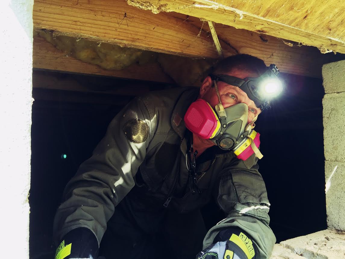 Attic to Foundation, LLC cover photo