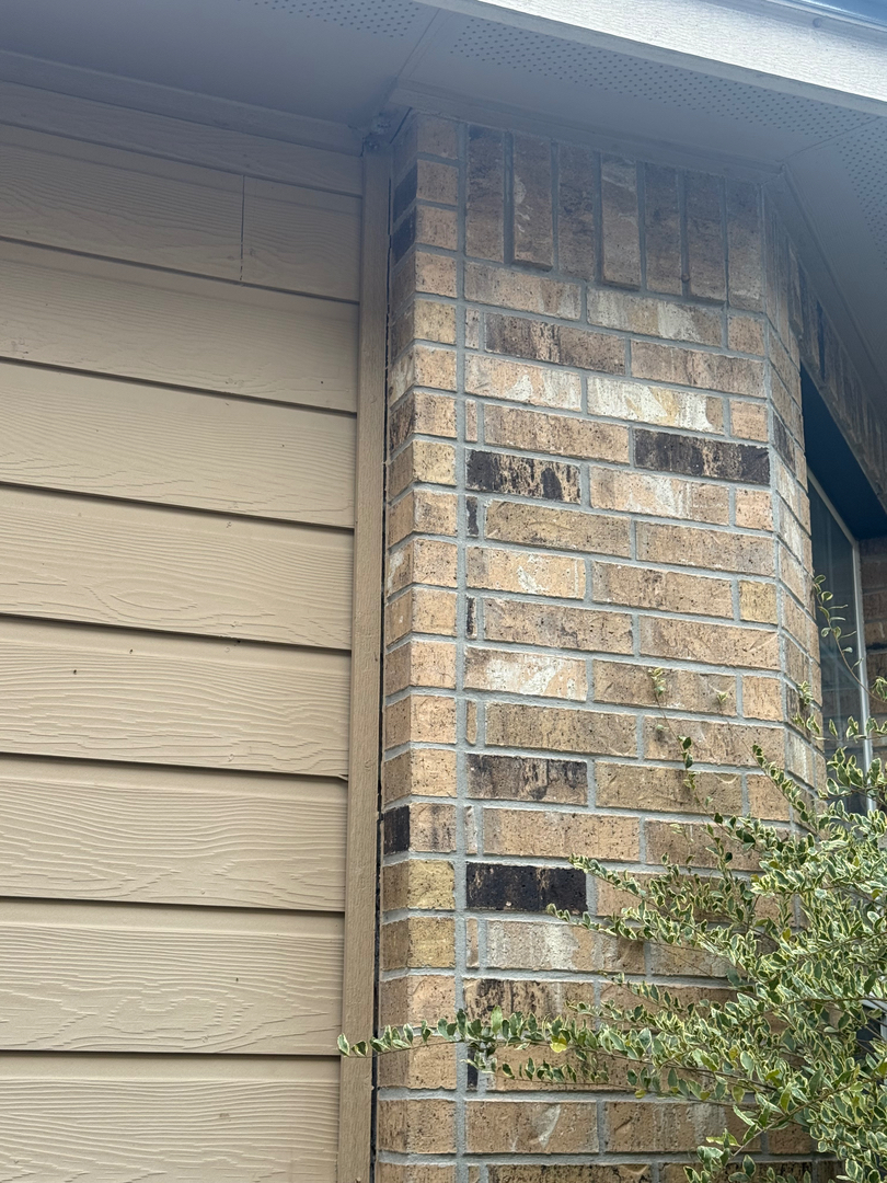 Bluebonnet Foundation Repair work photo