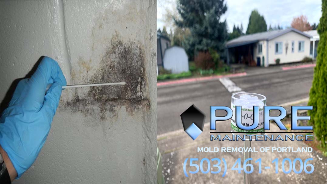 Pure Maintenance Portland work photo