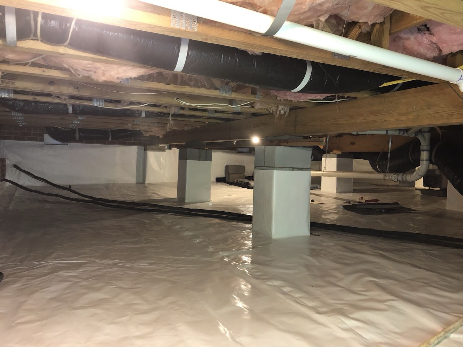 Cusuco Crawlspace cover photo