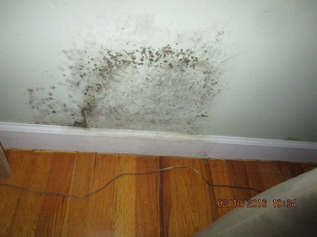 MJB Services, Inc. Mold Inspections & Testing work photo
