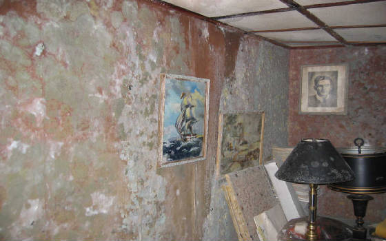 Envirotest Mold Asbestos Inspection work photo