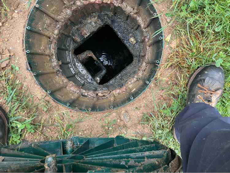 All About Septic cover photo