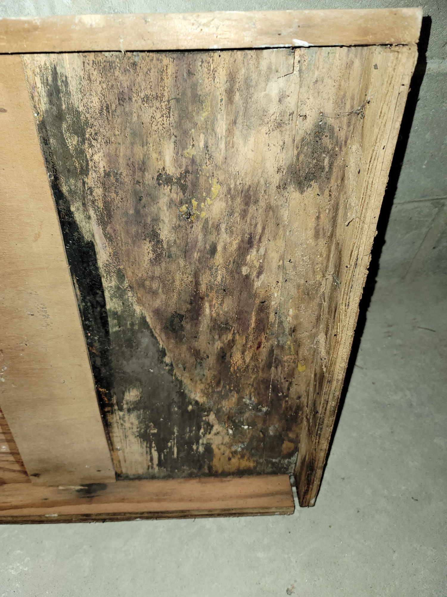 Strictly Cleaning Restoration & Mold Remediation work photo