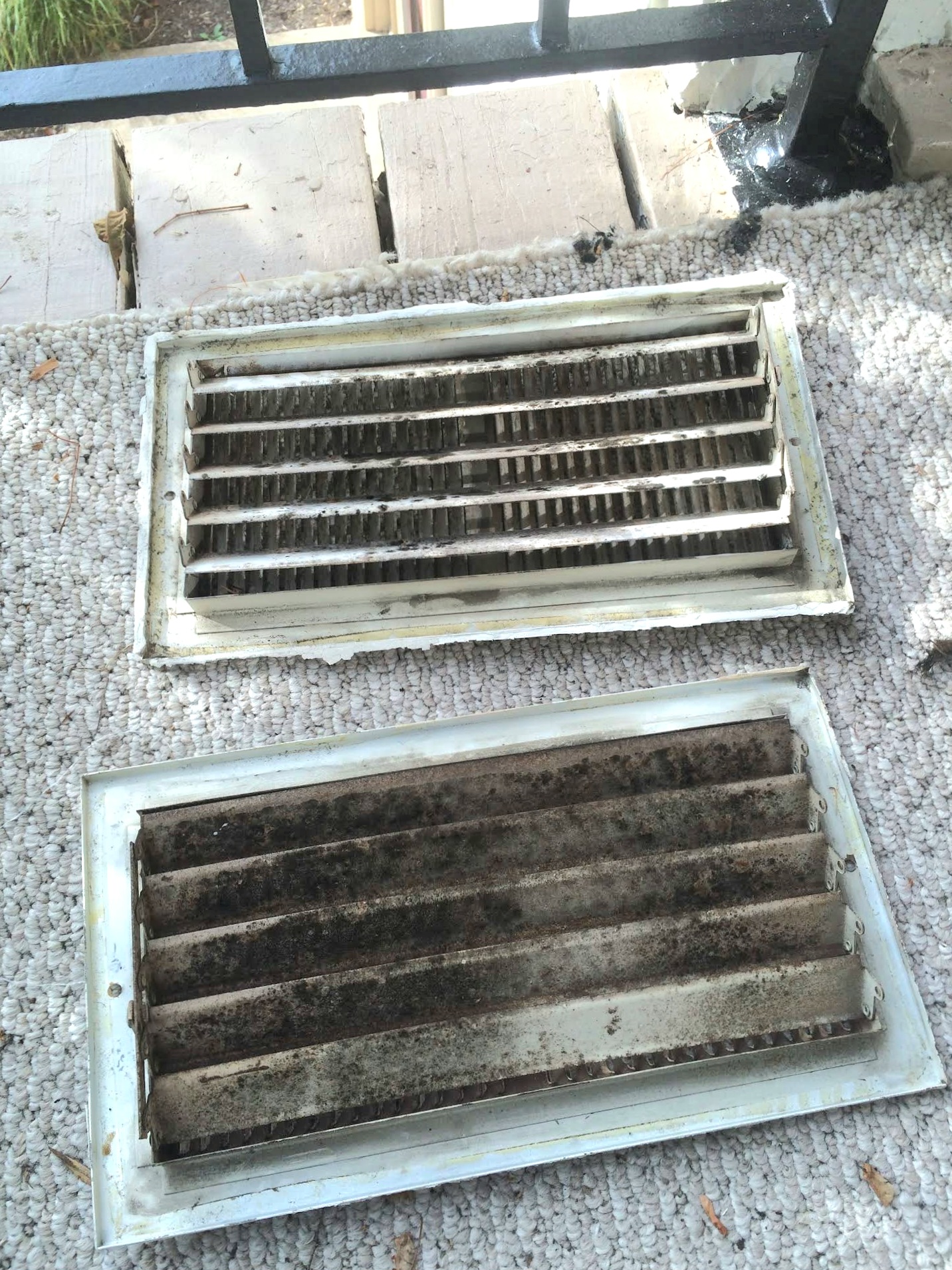 Ohio Lead & Mold work photo