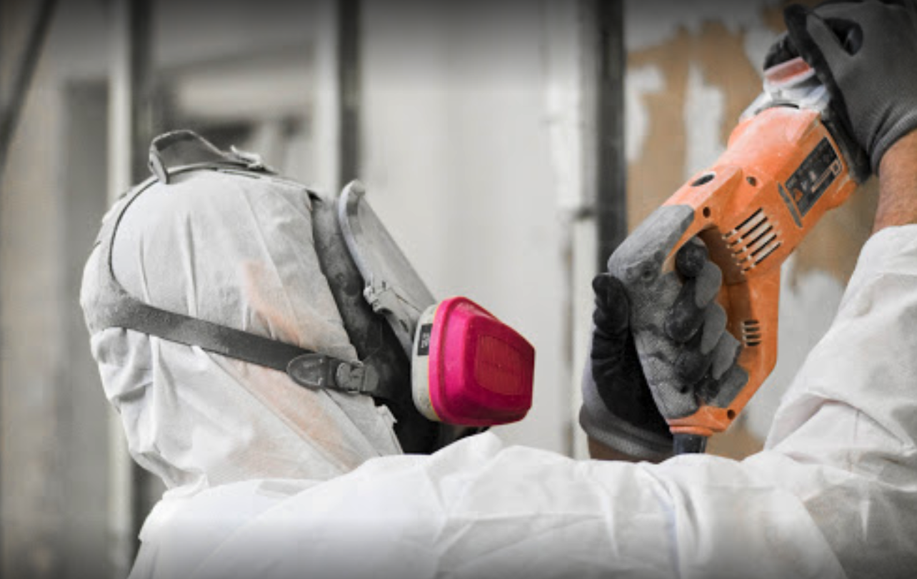 Shield Environmental Services Mold Removal work photo
