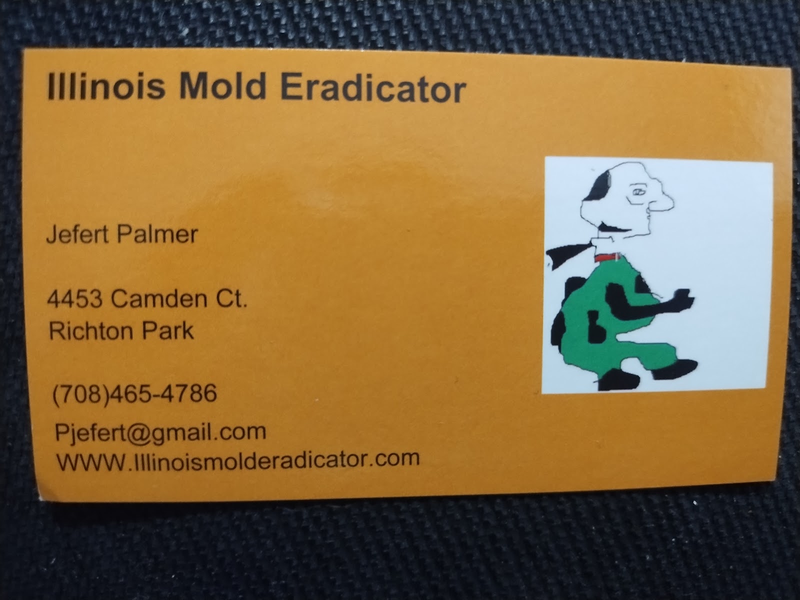 Illinois Mold Eradicator work photo