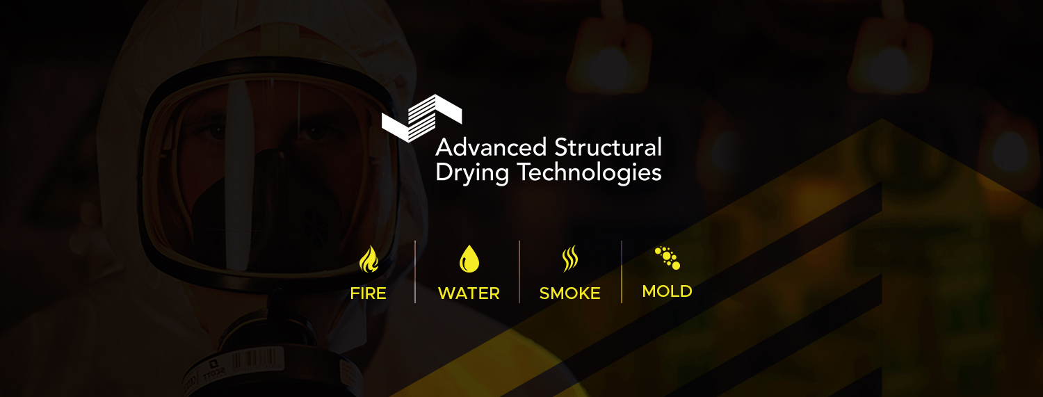 Advanced Structural Drying Technologies cover photo