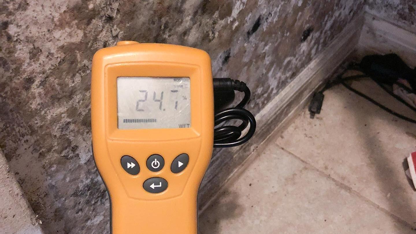 Mr Mold Inspector work photo