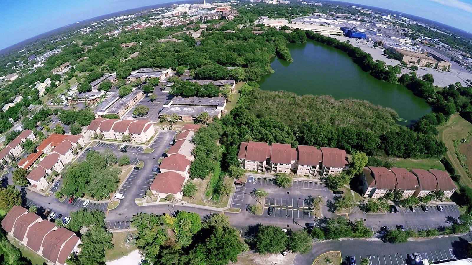 Tampa Bay Plumbers LLC cover photo