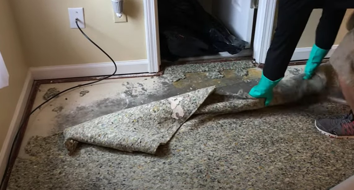 Certified Mold & Water Damage Restoration LLC work photo