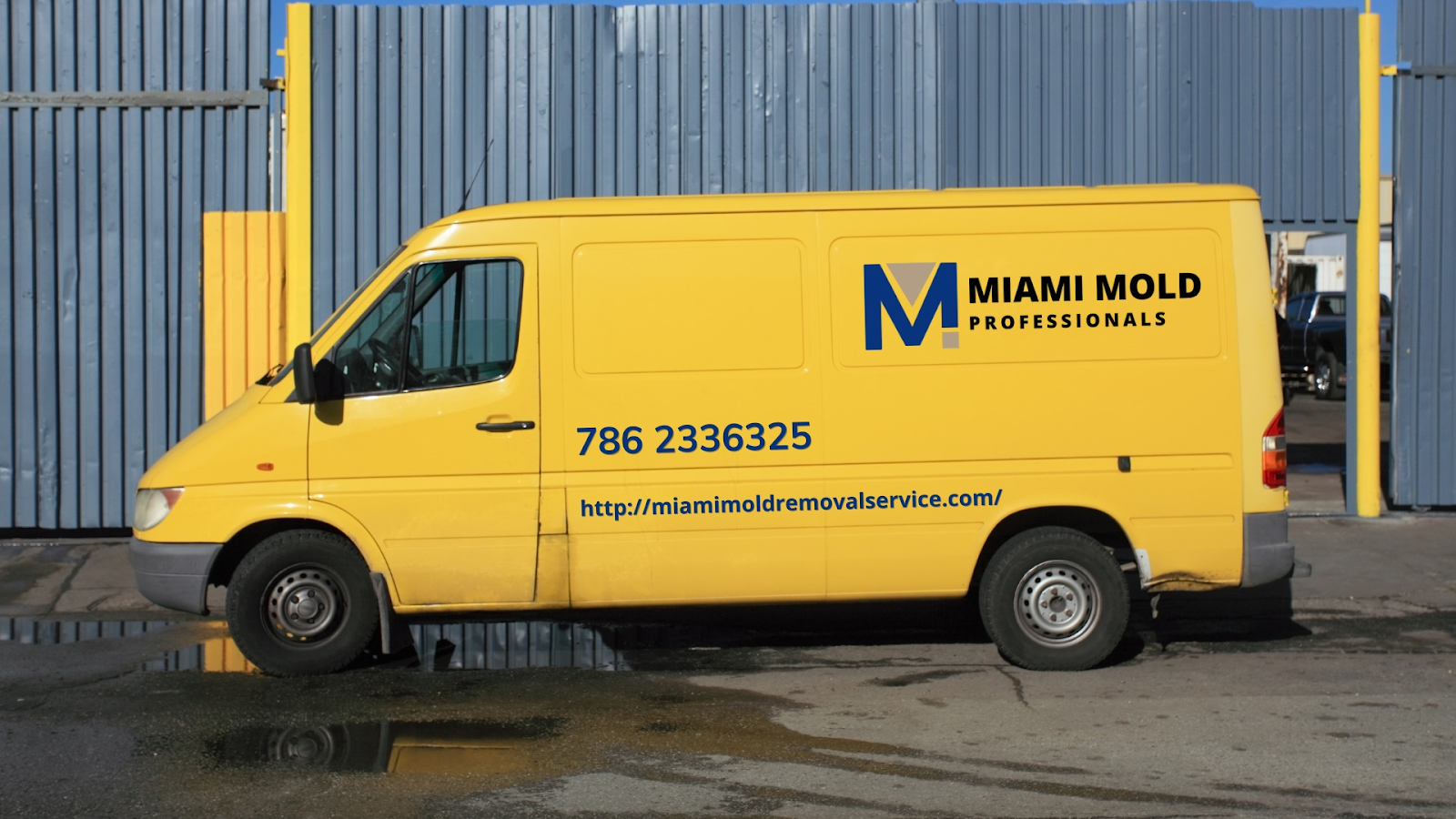 Miami Mold Professionals work photo