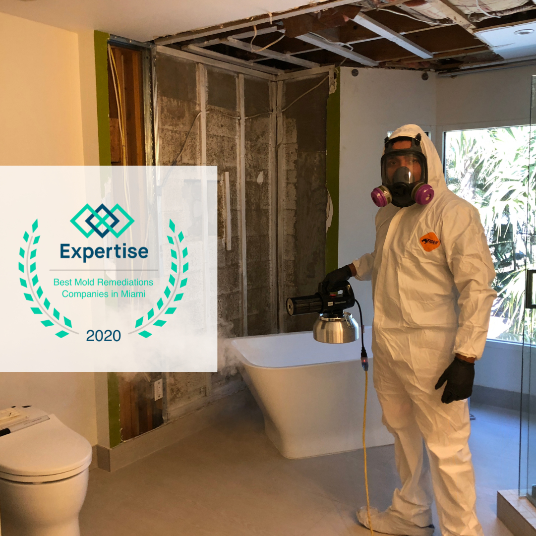 Instacure Mold Removal work photo