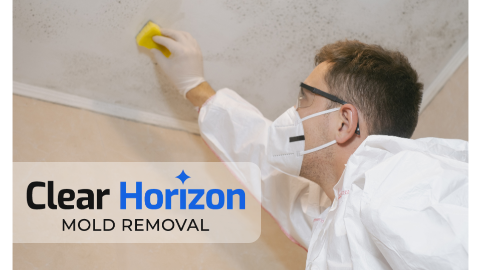 Clear Horizon Mold Removal work photo