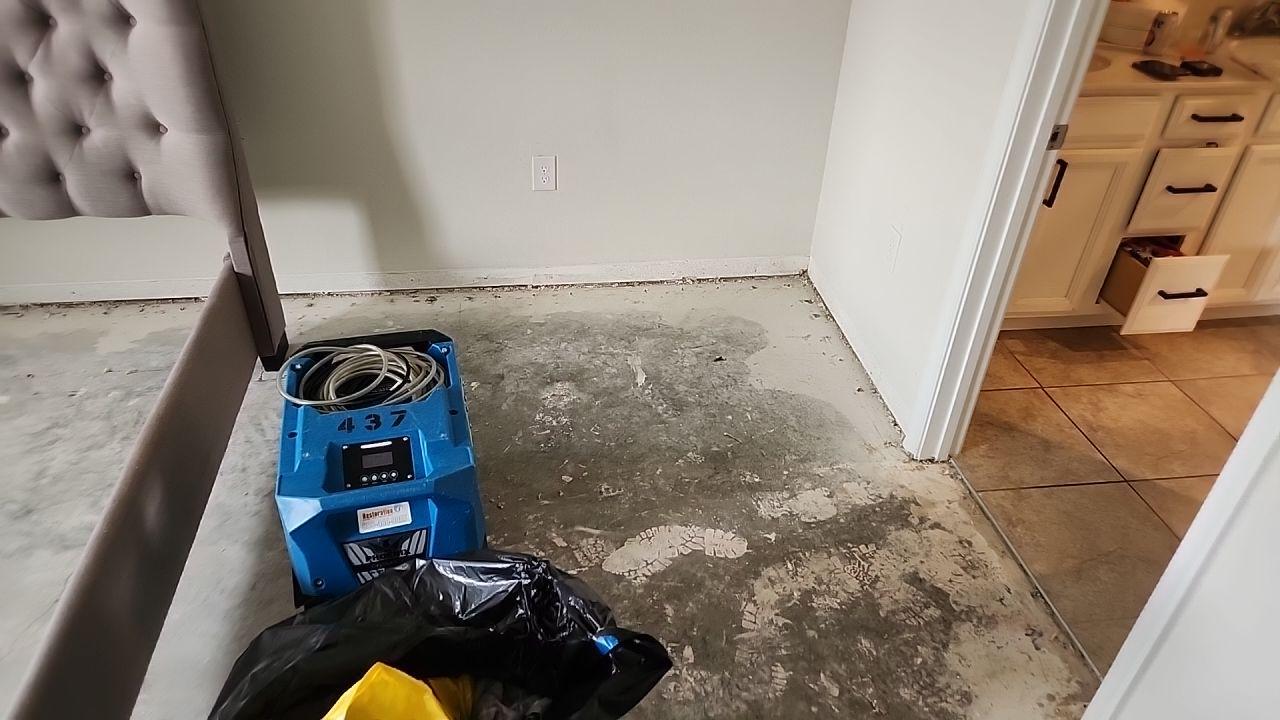 Restoration 1 of Tampa Bay work photo