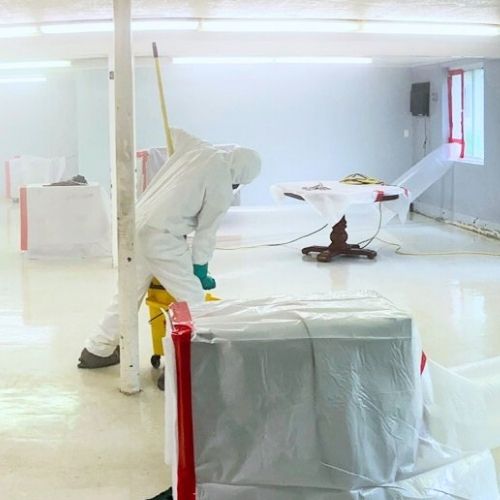 Shankers Mold Remediation cover photo
