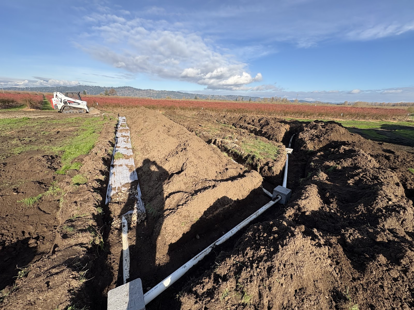Ace Septic Tank Service cover photo