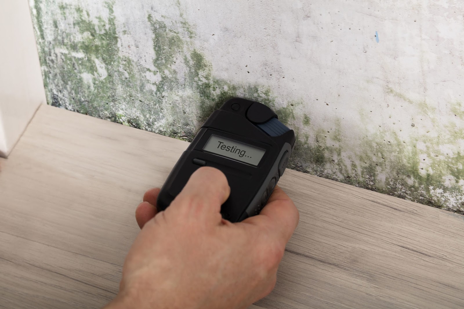 Bay Area Mold Pros cover photo