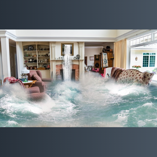 Bama Waterproofing cover photo