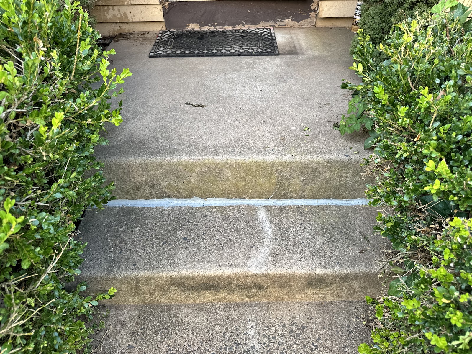 CP Concrete & Sons LLC cover photo