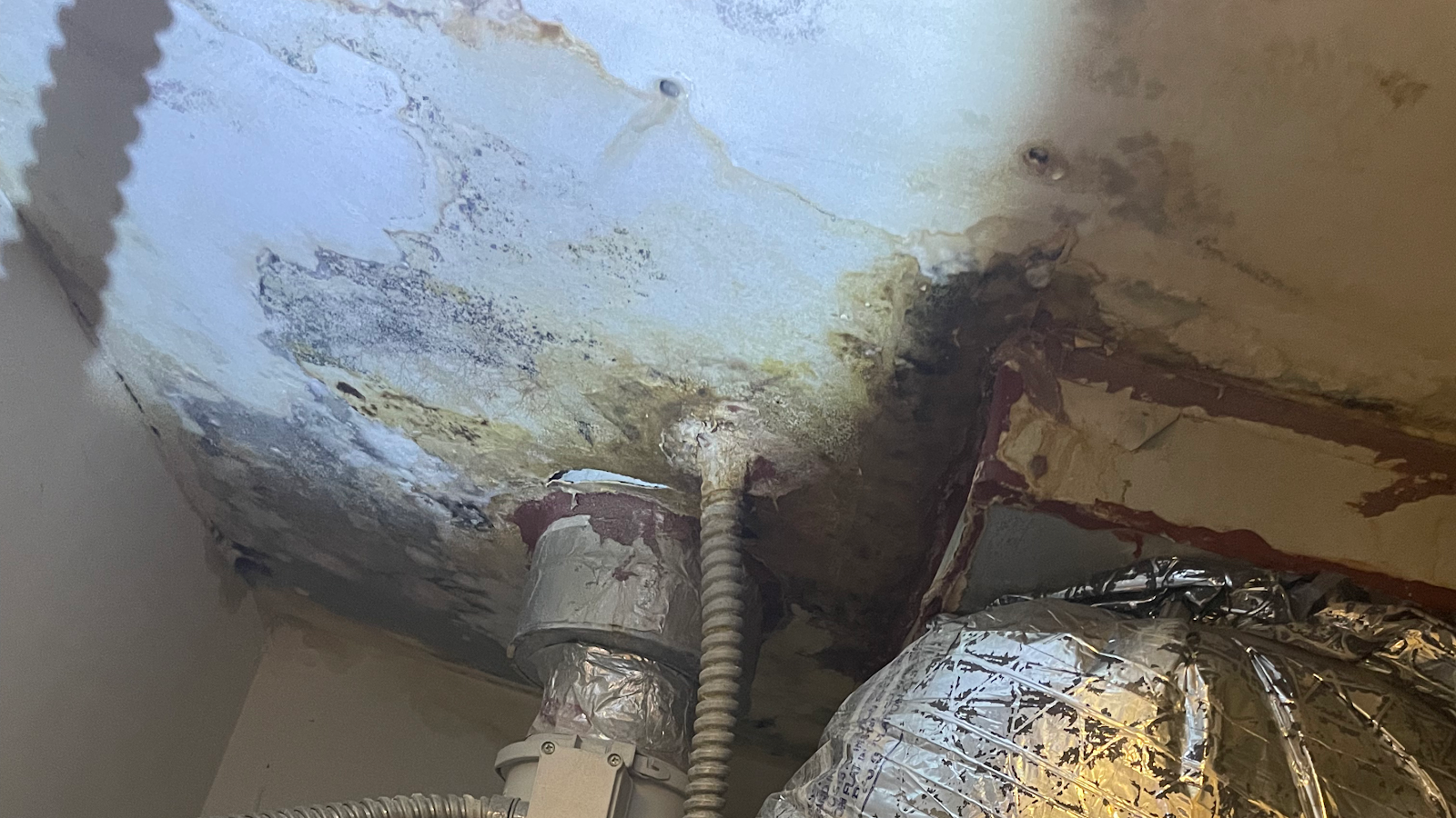 Texas Total Mold LLC work photo