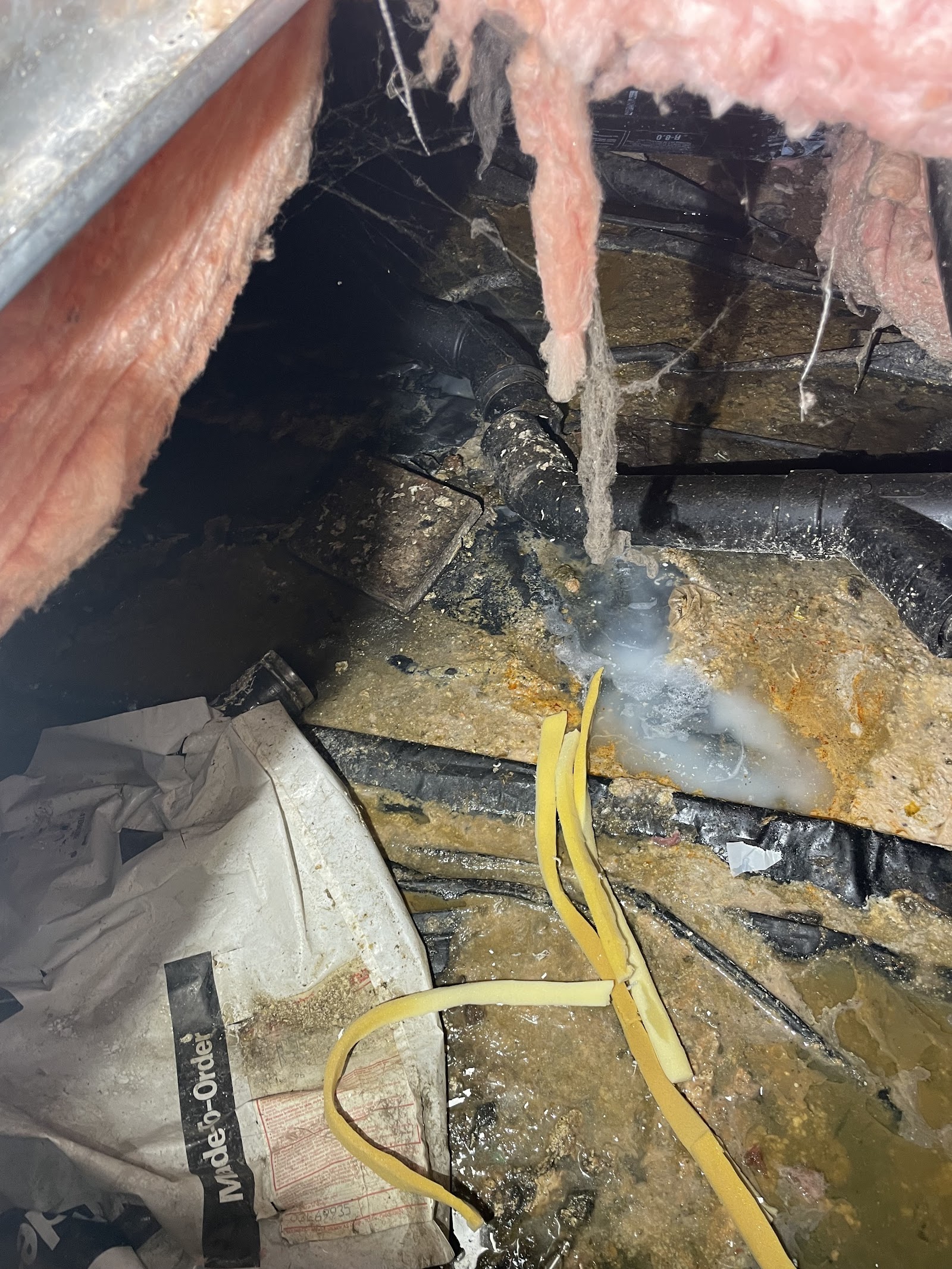 911 Restoration of Portland work photo