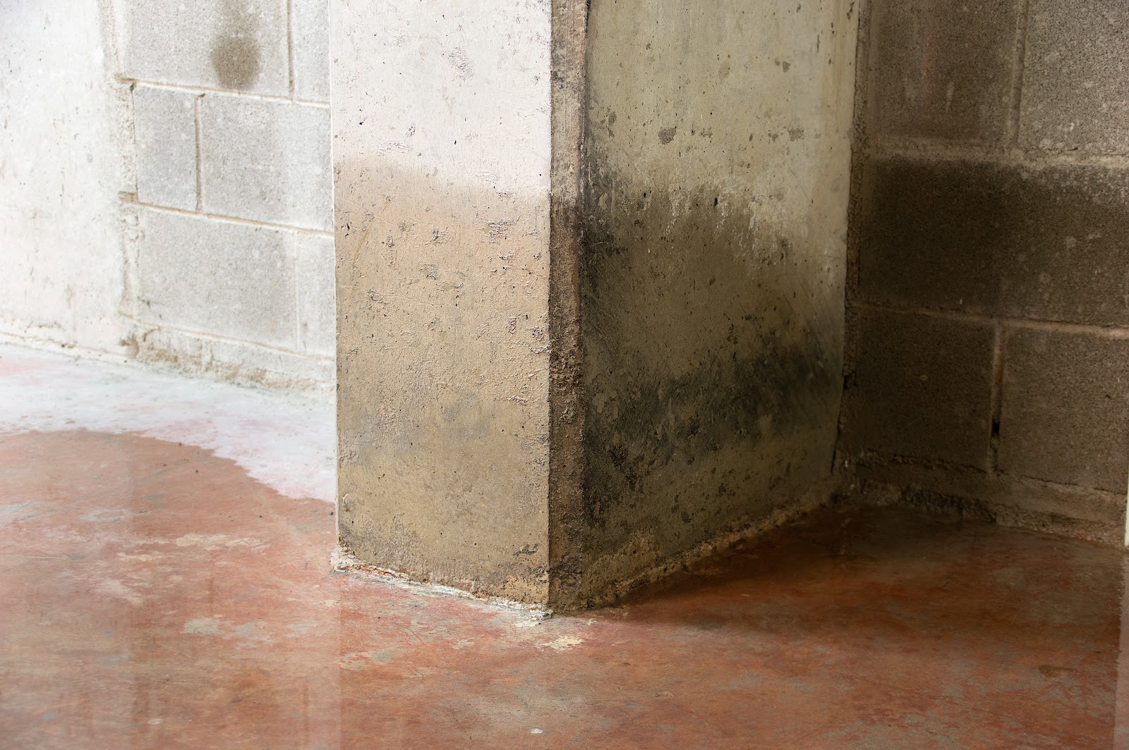 DFX Foundation & Waterproofing Experts work photo