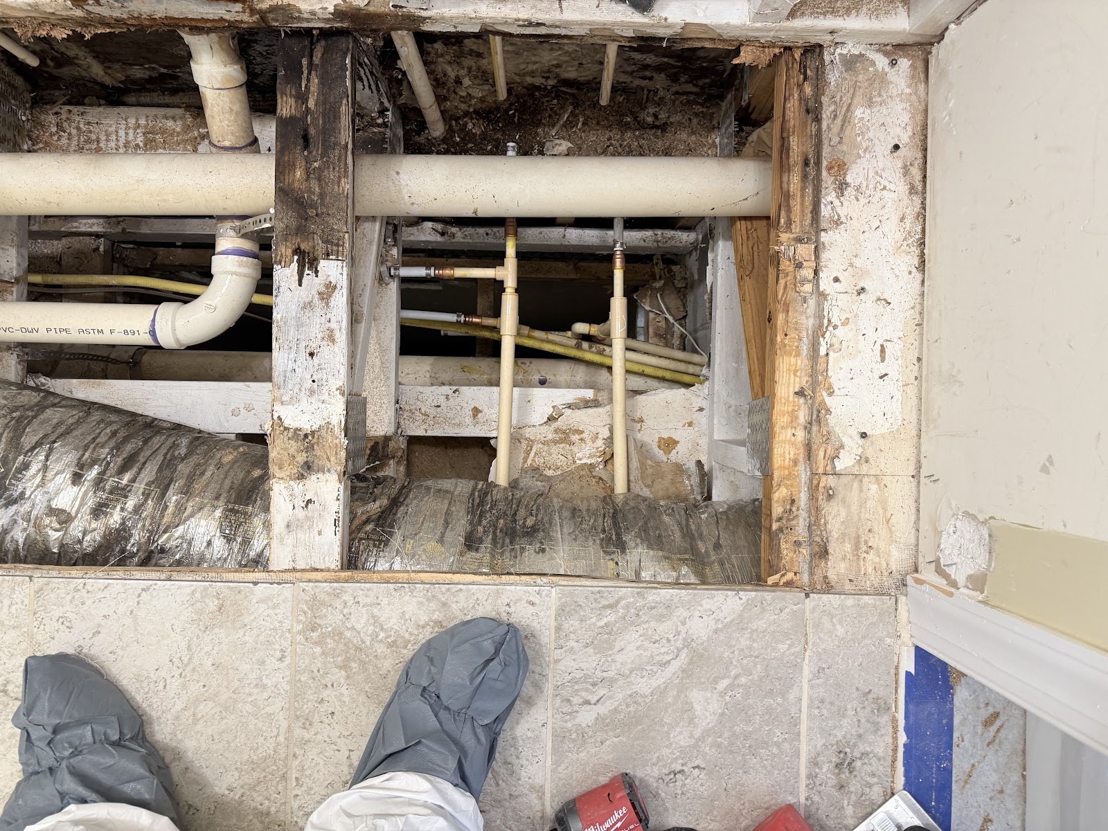 DRYmedic Restoration Services of Greenville cover photo