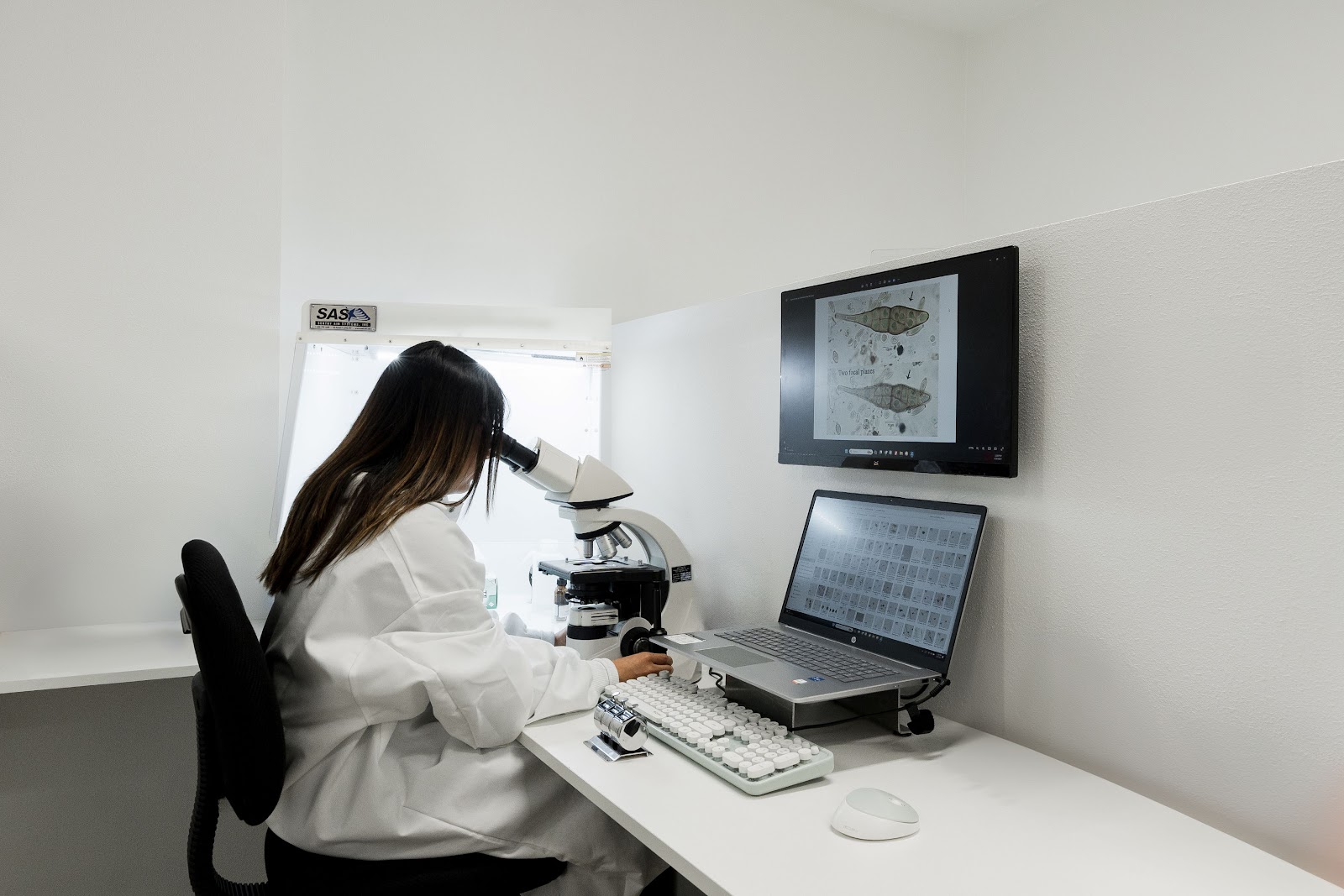 Pinnacle Laboratory work photo