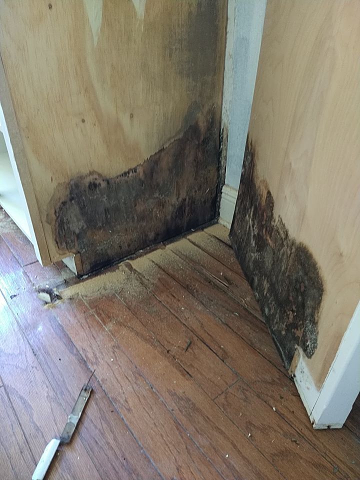 Power Pro Remediation work photo