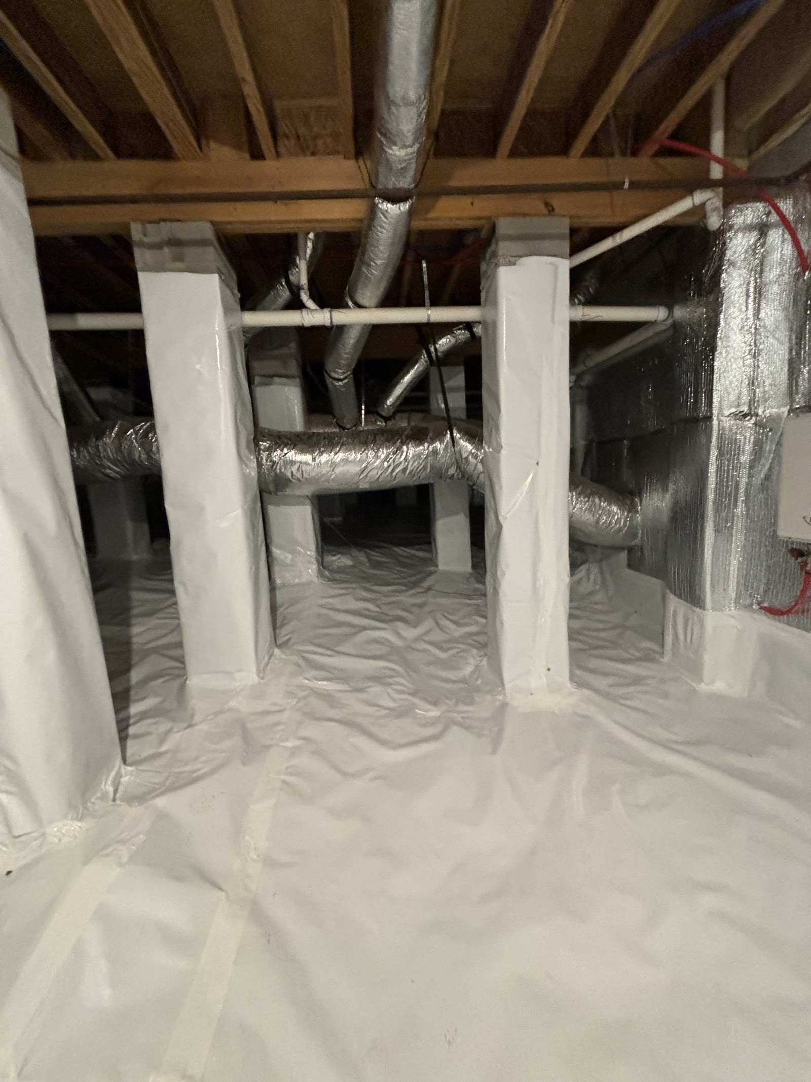 Breathe Easy Mold Remediation cover photo