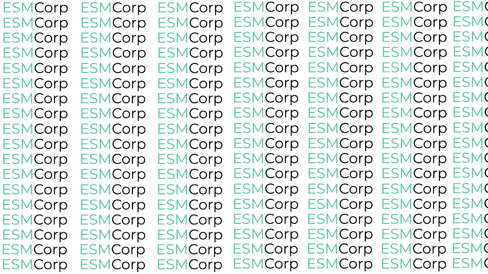 Environmental Safety Management Corporation work photo