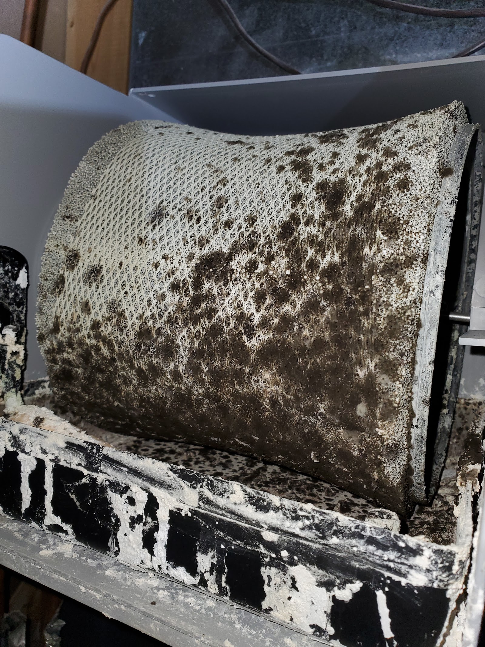 Twin Cities Mold Investigations work photo