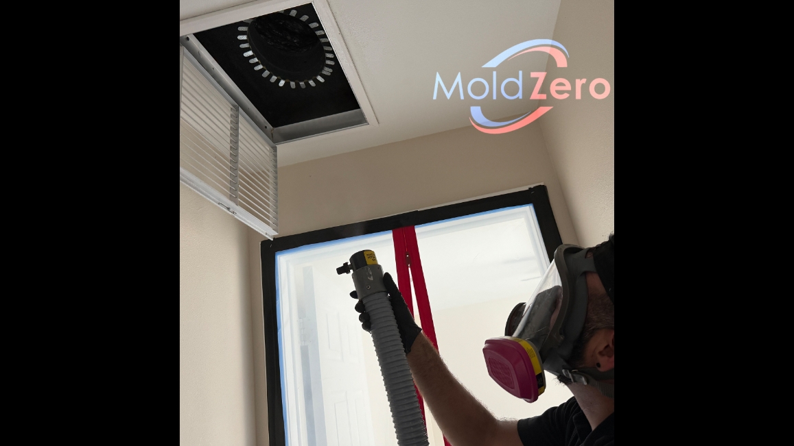 Mold Zero work photo