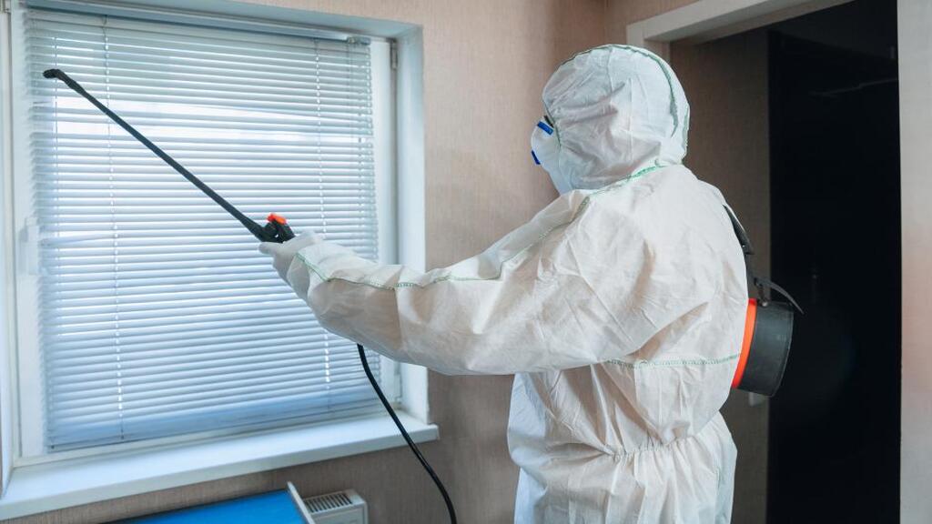 A-1 Mold Testing & Remediation Services work photo