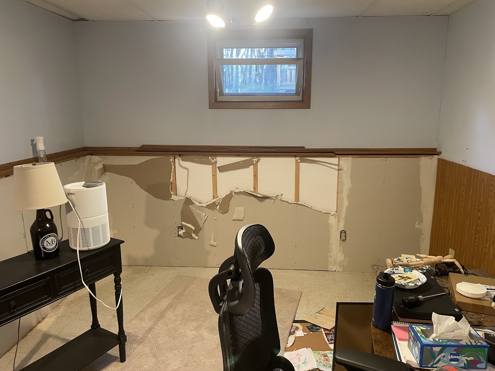 Certified Mold Inspection and Remediation Services work photo