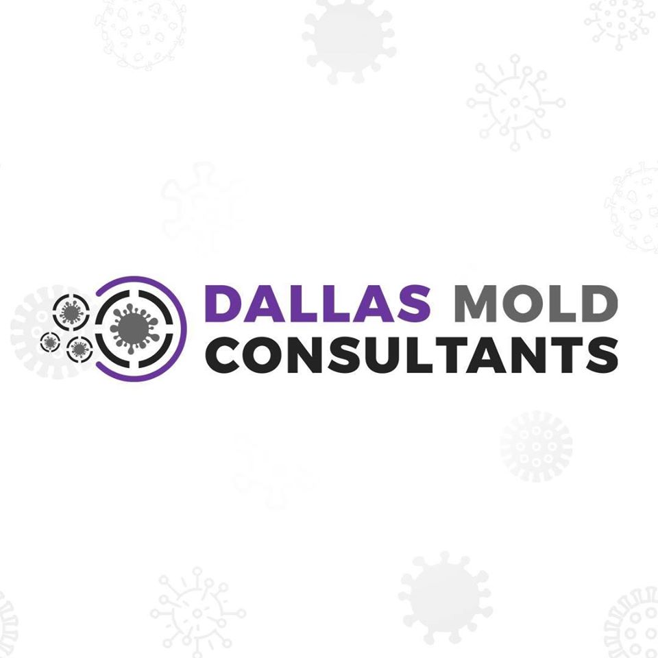 Dallas Mold Consultants work photo