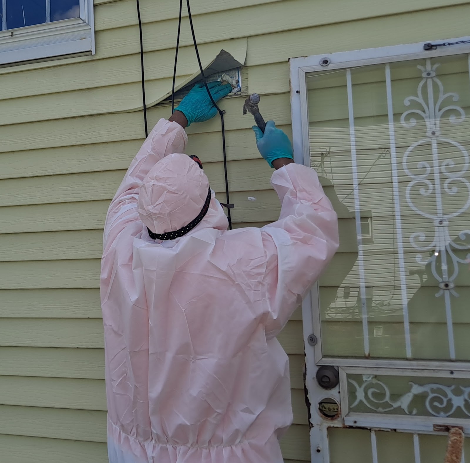 ACD Asbestos Pro work photo