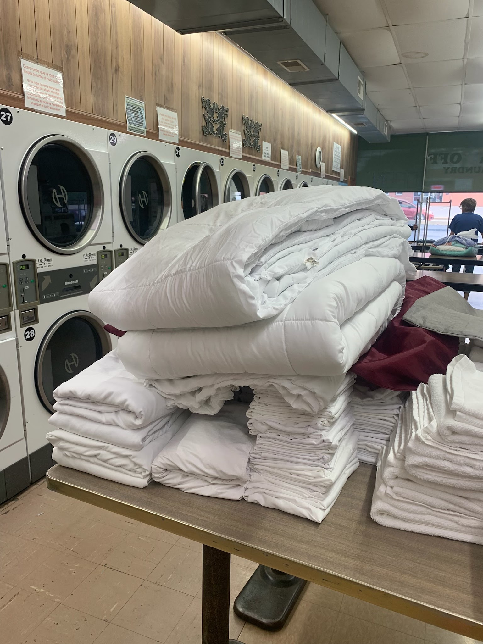 Poly Clean Wash Me work photo